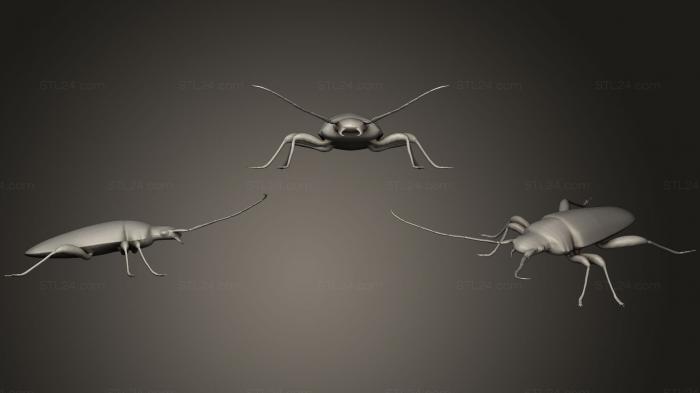 Насекомые (Длиннорогий жук, INSCT_0019) 3D модель для ЧПУ станка